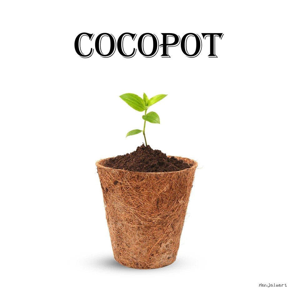 Coco Pot Set - 3 x 3 Inches | 10 Pcs/ Coir Pot/ Coir Plant Pot for Garden